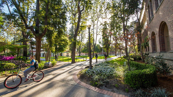 student on bicycle traveling down walkway