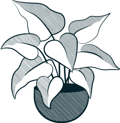 A Drawing of a Plant