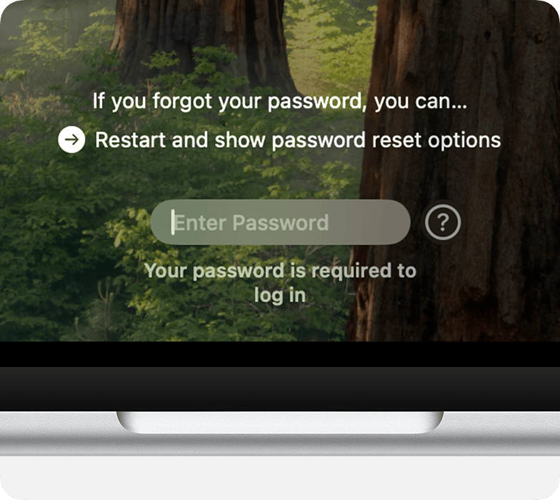 Password reset options next to the password field in the login window.