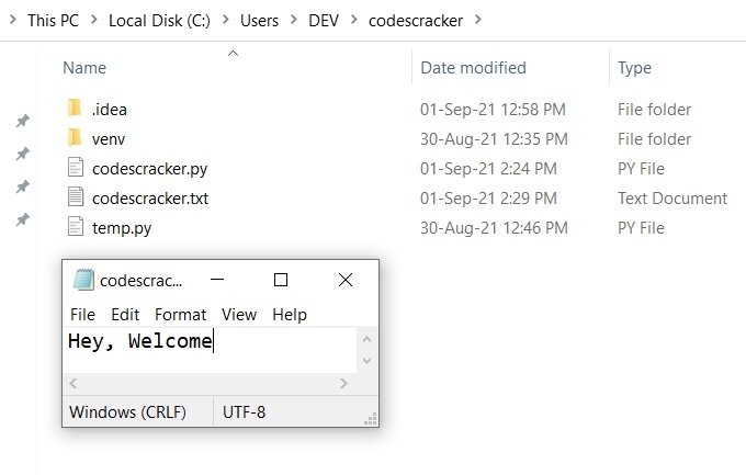 python print statement code