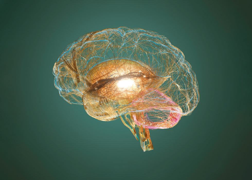 concept art of a brain lit up with lights