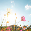 Candle flowers1.jpg