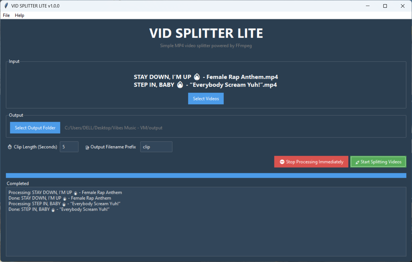 VID SPLITTER LITE Output Result