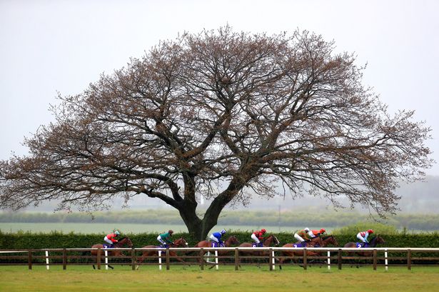 Beverley hosts a seven-race card on Monday evening where Newsboy's Nap, Without Flaw, runs in the 6.50