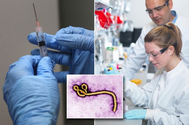 Scientists working on a new Ebola vaccine