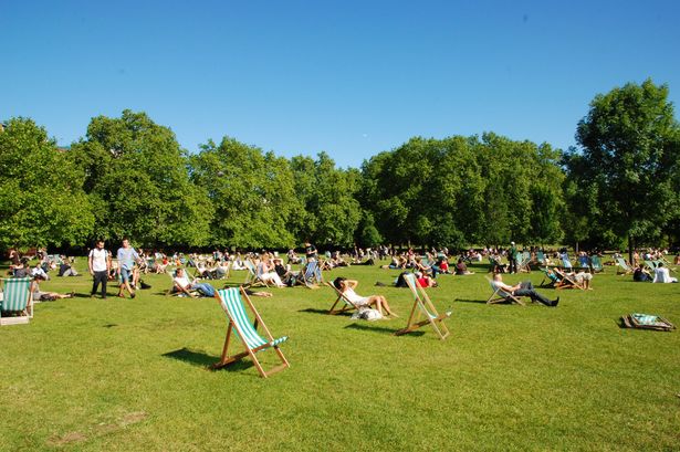 People enjoy sunny weather, picnic in the park, generic