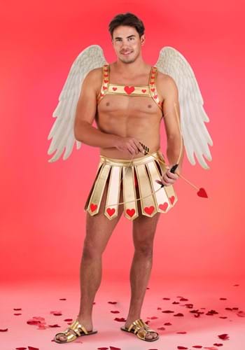 Mens Sexy Cupid Costume