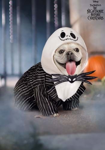 Disney Jack Skellington Dog Costume