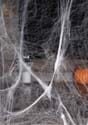 Glow in the Dark Spider Webs