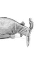 Kids Shark Plush Hat Alt 2