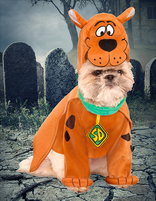 Scooby-Doo Dog Costume Scooby-Doo Dog Costume