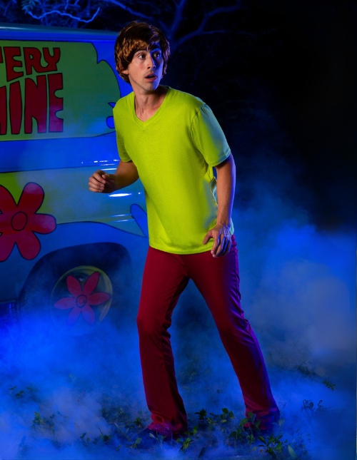 Shaggy Costume Shaggy Costume