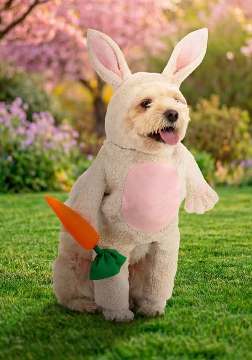 Fluffy Bunny Dog Costume