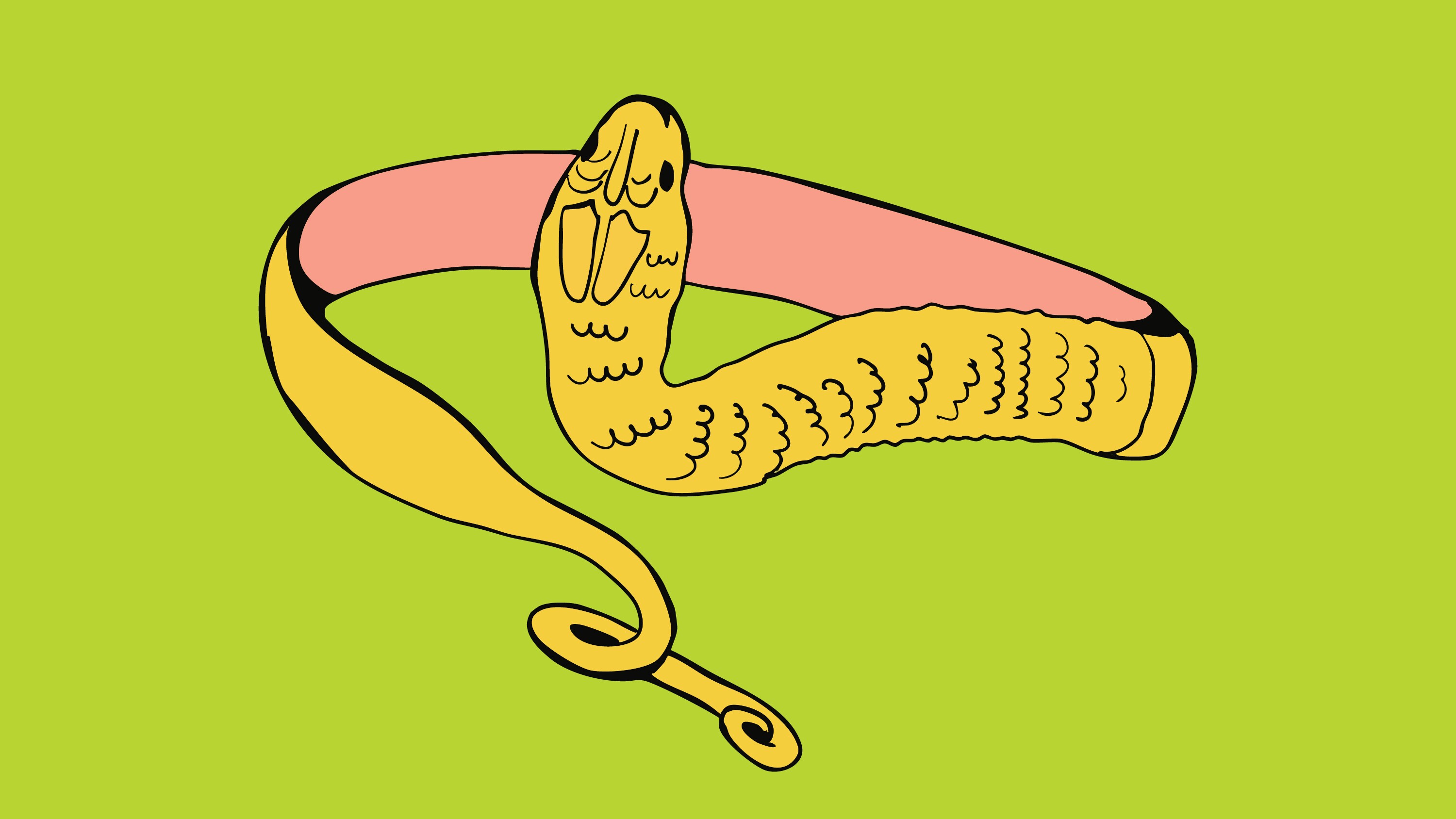 Illustration of a snake wrapped into a circlet over a lime green background.