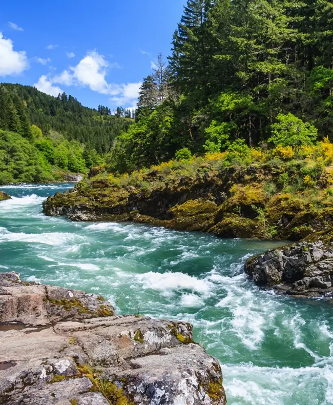 nature image
