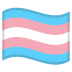 🏳‍⚧