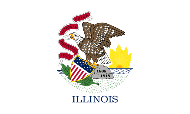 Delavan Flag