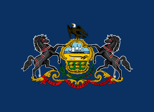 Delaware township Flag