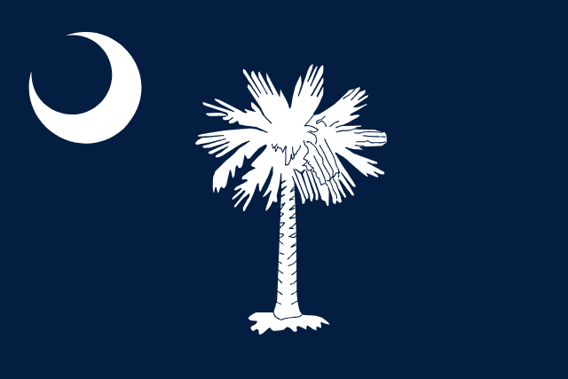 Stateburg Flag