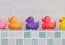 A set of coloured rubber ducks in a bathroom setting all facing same direction