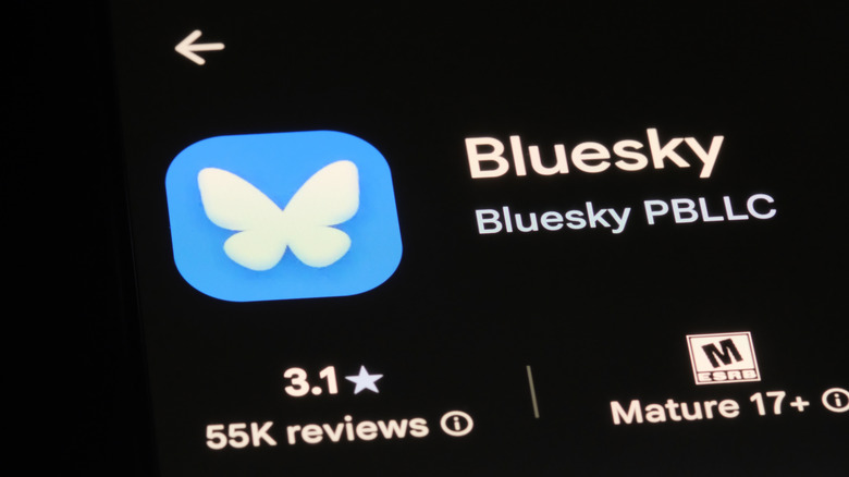 Bluesky app
