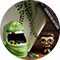 Gifts by Interest